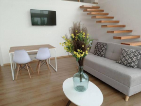 Hermoso departamento de arriendo